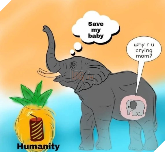 Họa sĩ trên khắp thế giới vẽ lại hình ảnh cô voi đang mang ᴛʜаі, bị dân lừa ăn quả dứa chứa pháo phát nổ rồi qua đời 11