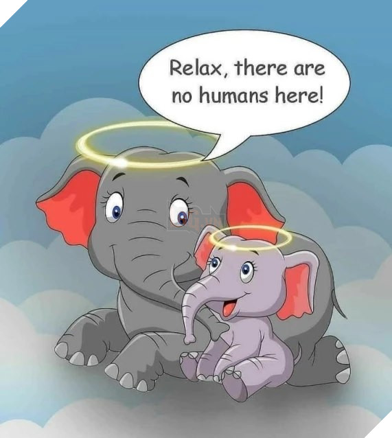 Họa sĩ trên khắp thế giới vẽ lại hình ảnh cô voi đang mang ᴛʜаі, bị dân lừa ăn quả dứa chứa pháo phát nổ rồi qua đời 6