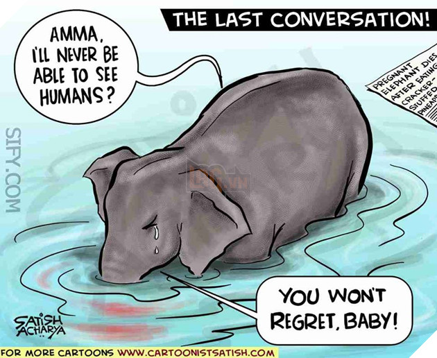 Họa sĩ trên khắp thế giới vẽ lại hình ảnh cô voi đang mang ᴛʜаі, bị dân lừa ăn quả dứa chứa pháo phát nổ rồi qua đời 15