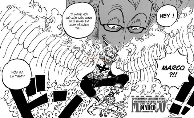 Dự đoan Spoiler One Piece Chap 9 Chopper Bị Big Mom Phat Hiện Kế Hoạch Tấn Cong đổ Vỡ