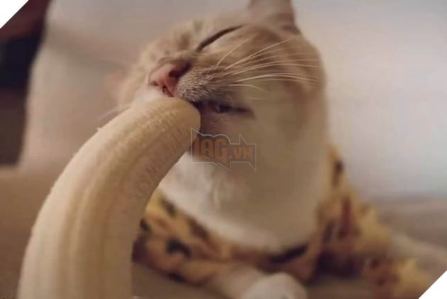 Bậc nhất tiểu tam tung bộ ảnh ăn chuối nhạy cảm gây sốt cộng đồng mạng