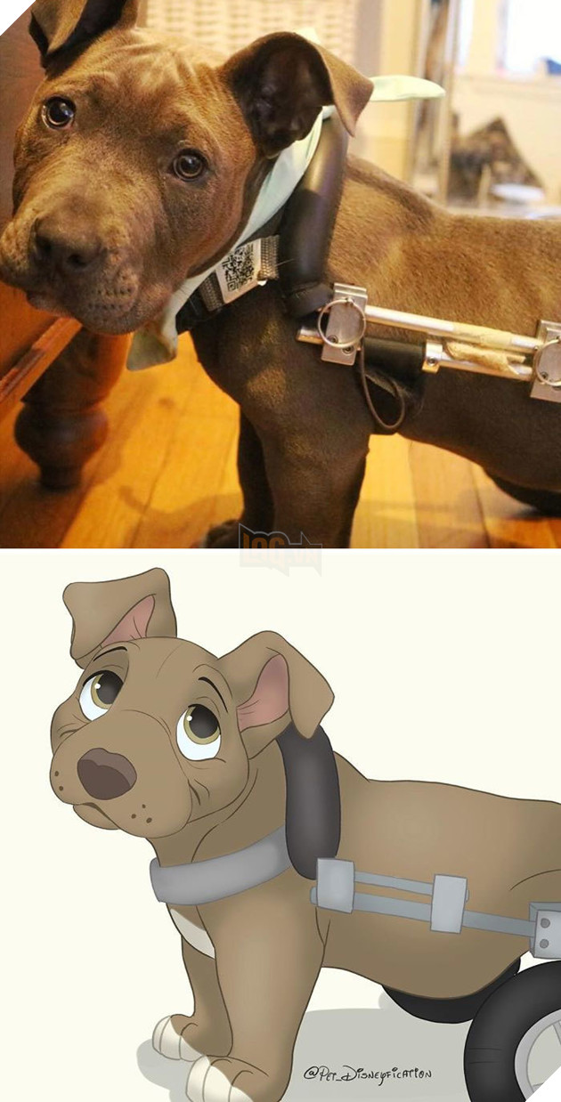 Loạt ảnh chàng hoạ sĩ biến thú cưng thành nhân vật hoạt hình đáng yêu vô đối 11