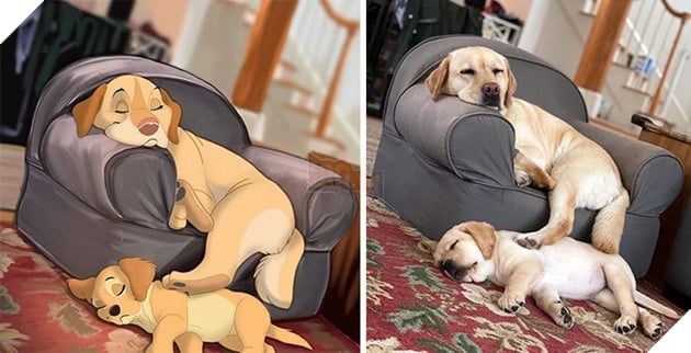 Loạt ảnh chàng hoạ sĩ biến thú cưng thành nhân vật hoạt hình đáng yêu vô đối 13