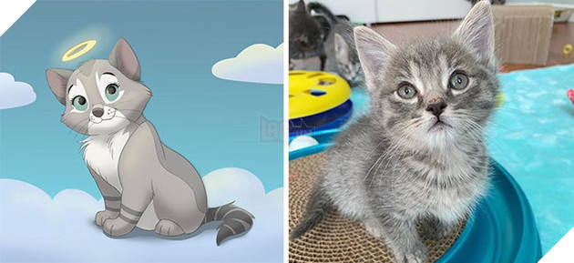 Loạt ảnh chàng hoạ sĩ biến thú cưng thành nhân vật hoạt hình đáng yêu vô đối 14