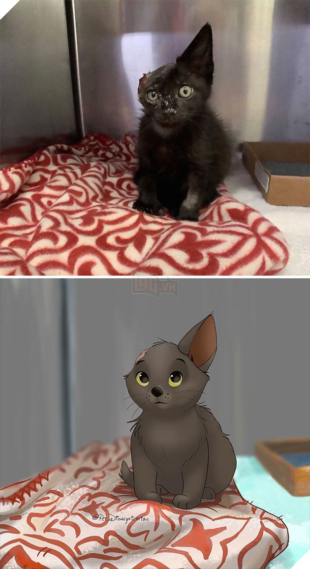 Loạt ảnh chàng hoạ sĩ biến thú cưng thành nhân vật hoạt hình đáng yêu vô đối