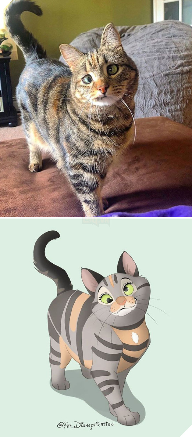 Loạt ảnh chàng hoạ sĩ biến thú cưng thành nhân vật hoạt hình đáng yêu vô đối 7