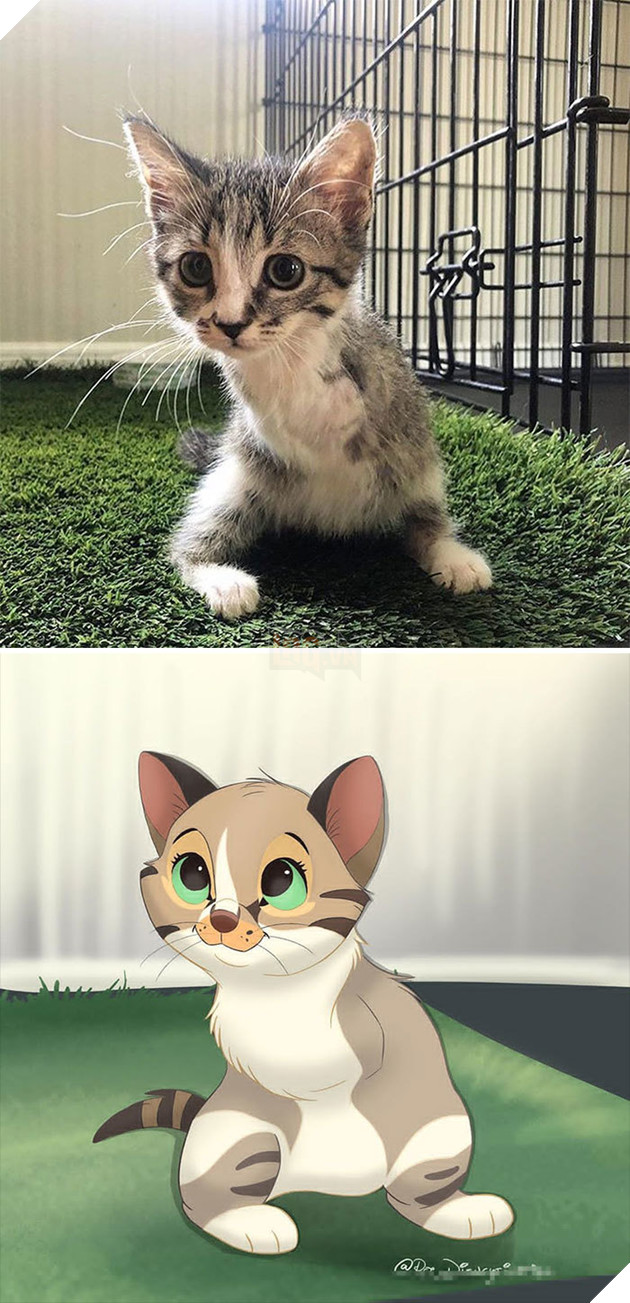 Loạt ảnh chàng hoạ sĩ biến thú cưng thành nhân vật hoạt hình đáng yêu vô đối 8