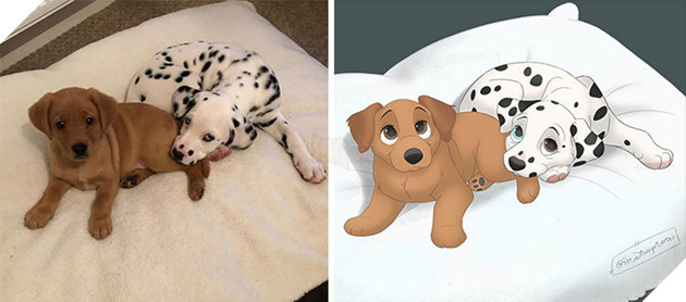 Loạt ảnh chàng hoạ sĩ biến thú cưng thành nhân vật hoạt hình đáng yêu vô đối 9