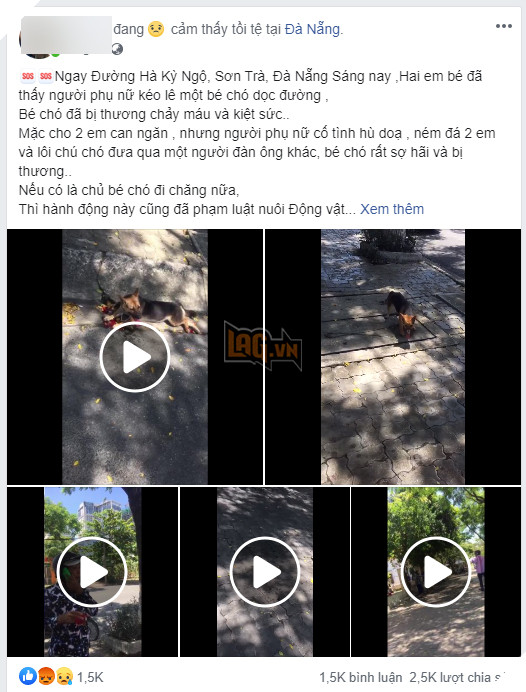 Vụ việc gây bức xúc với sự vào cuộc của rất nhiều người