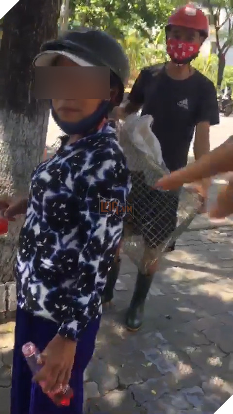 Chú chó chết thương tâm ở Đà Nẵng: Xin về nuôi nhưng lại bị bán, chủ quán đòi đập điện thoại khi có người đến giải cứu 8