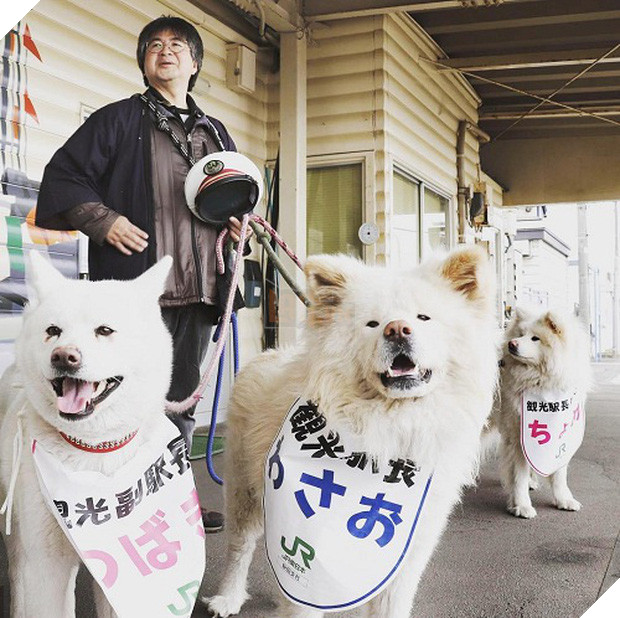 Wasao - chú chó lông dài nổi tiếng, từng là đại sứ du lịch Nhật Bản, trưởng ga tàu đã qua đời ở tuổi 13 - Ảnh 5.