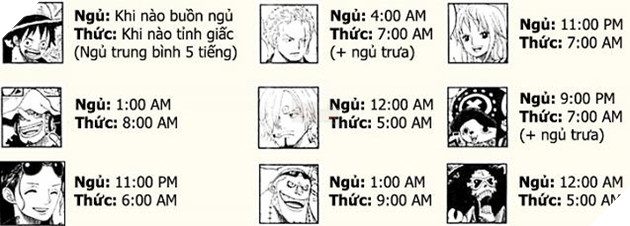 Những điều thú vị xoay quanh băng Mũ Rơm Phần 1  8