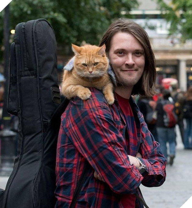 Chú mèo đường phố Bob qua đời ở tuổi 14 2