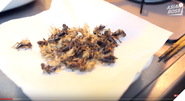 Thánh F.A xuất hiện: Thanh niên Nhật hẹn hò với con gián suốt 1 năm rồi ăn luôn nàng để được bên nhau mãi mãi - Ảnh 2.