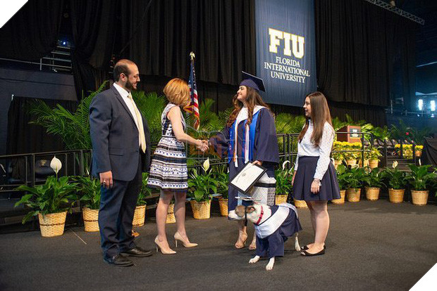 Đi học đều hơn cả chủ, chú chó được trường đại học trao bằng cử nhân danh giá