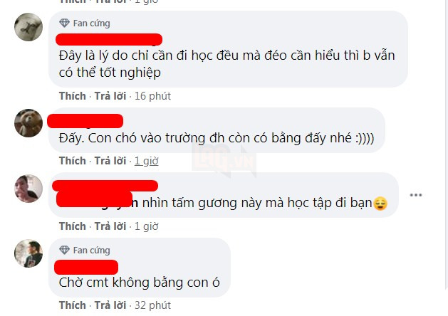 Đi học đều hơn cả chủ, chú chó được trường đại học trao bằng cử nhân danh giá 4