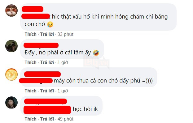 Đi học đều hơn cả chủ, chú chó được trường đại học trao bằng cử nhân danh giá 7