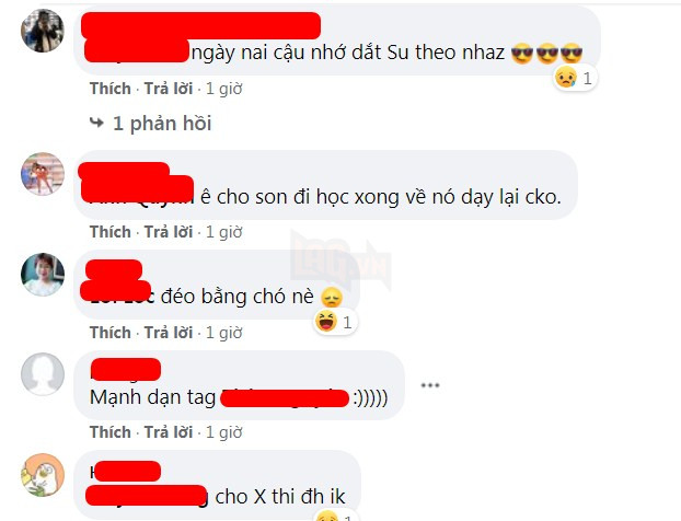 Đi học đều hơn cả chủ, chú chó được trường đại học trao bằng cử nhân danh giá 5