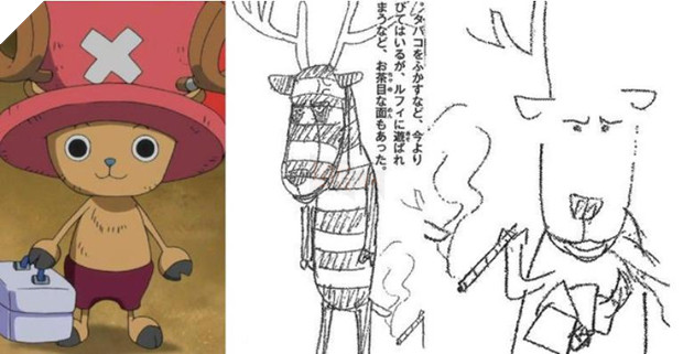 Những điều thú vị cực sốc về băng Mũ Rơm phần 2: Chopper từng hút thuốc? 5