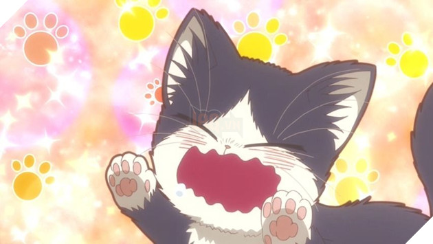 Top 10 anime về những “quàng thượng” siêu đáng yêu dành cho hội cuồng mèo 2