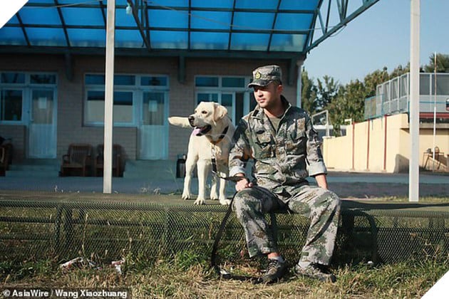 Cảnh khuyển về hưu mắc kẹt v&#224;o ghế ở c&#244;ng vi&#234;n v&#236; qu&#225;... thừa c&#226;n khiến cư d&#226;n mạng vừa buồn cười vừa thương - Ảnh 3.