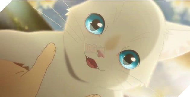 Top 10 anime về những “quàng thượng” siêu đáng yêu dành cho hội cuồng mèo 4