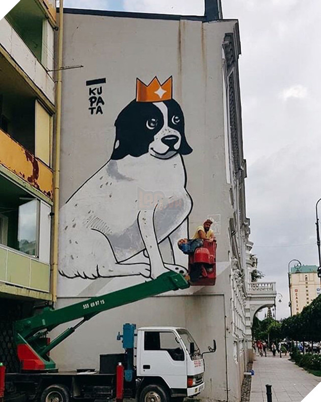 Cảm động câu chuyện chú chó luôn dẫn trẻ em qua đường mỗi ngày