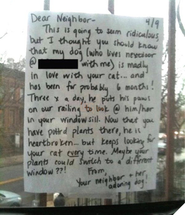 Chú chó đều đặn 3 lần một ngày nhìn ra cửa sổ suốt 6 tháng liền bỗng dừng hẳn rồi sinh trầm cảm, chủ tìm hiểu mới biết lý do tại sao - Ảnh 3.