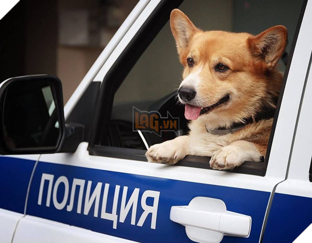  
CĐM bày tỏ sự tiếc nuối khi "em" về hưu.