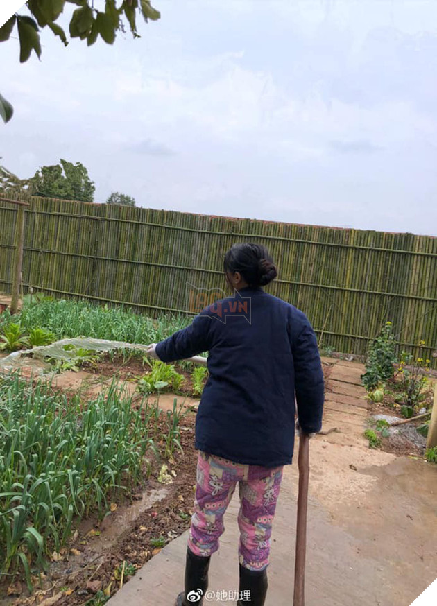 Sự thật về thân thế Lý Tử Thất: Con nhà giàu, tài sản trăm tỷ, cơ ngơi nhiều người ao ước? - Ảnh 23.