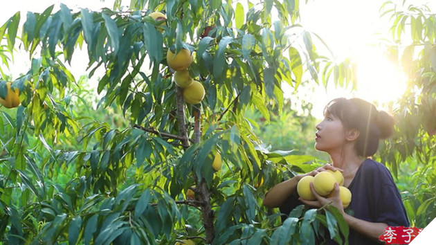 Sự thật về thân thế Lý Tử Thất: Con nhà giàu, tài sản trăm tỷ, cơ ngơi nhiều người ao ước? - Ảnh 5.