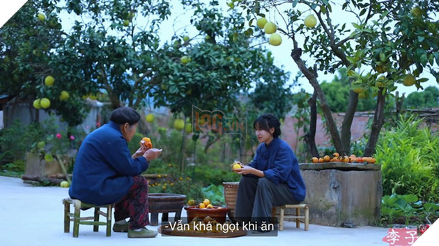 Sự thật về thân thế Lý Tử Thất: Con nhà giàu, tài sản trăm tỷ, cơ ngơi nhiều người ao ước? - Ảnh 6.