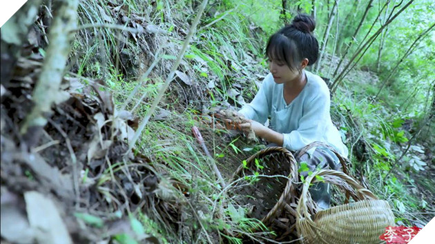 Sự thật về thân thế Lý Tử Thất: Con nhà giàu, tài sản trăm tỷ, cơ ngơi nhiều người ao ước? - Ảnh 7.