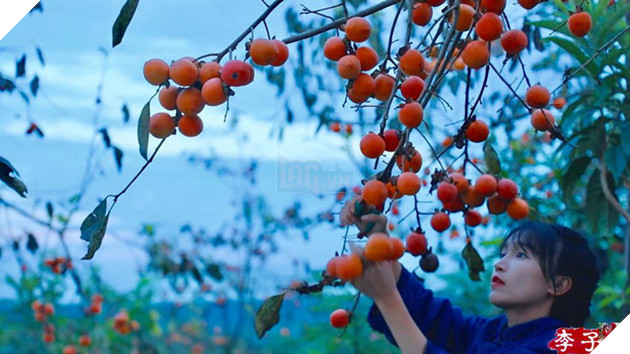 Sự thật về thân thế Lý Tử Thất: Con nhà giàu, tài sản trăm tỷ, cơ ngơi nhiều người ao ước? - Ảnh 8.