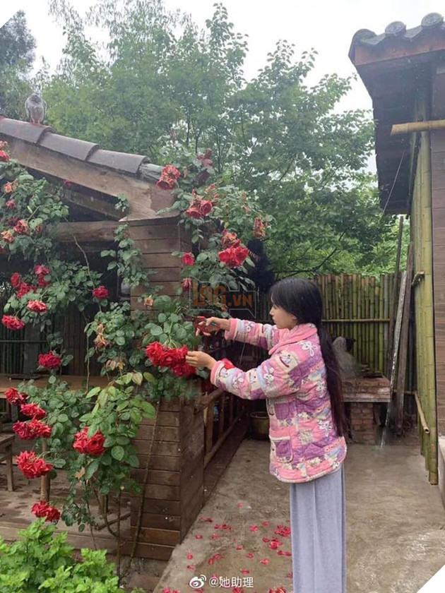 Sự thật về thân thế Lý Tử Thất: Con nhà giàu, tài sản trăm tỷ, cơ ngơi nhiều người ao ước? - Ảnh 22.