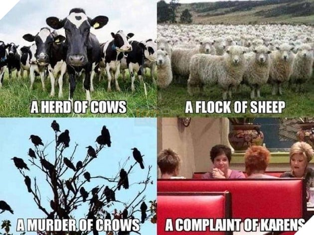 Meme Karen là gì với ý nghĩa thật sự và bắt nguồn từ đâu mà được sử dụng mọi nơi 12