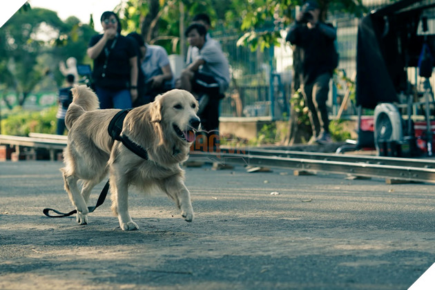 Bằng chứng vô hình: Hé lộ diễn viên phiền phức khiến ekip điên đầu 5