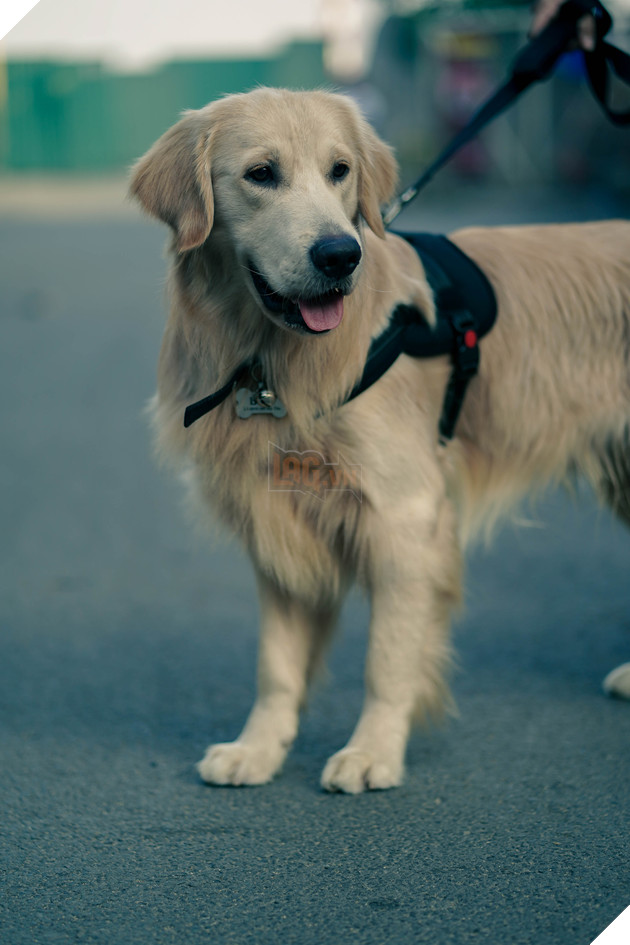 Bằng chứng vô hình: Hé lộ diễn viên phiền phức khiến ekip điên đầu