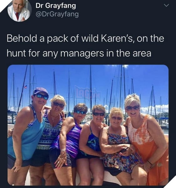 Meme Karen là gì với ý nghĩa thật sự và bắt nguồn từ đâu mà được sử dụng mọi nơi 11