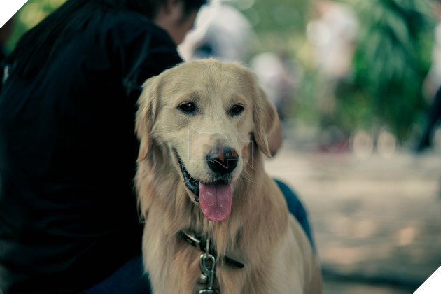 Bằng chứng vô hình: Hé lộ diễn viên phiền phức khiến ekip điên đầu 2