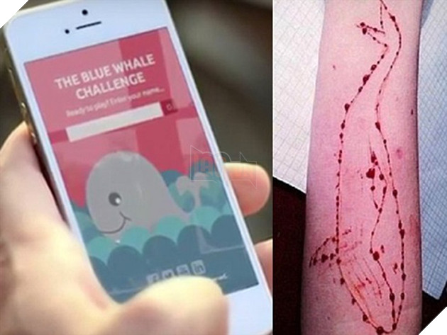 trao luu ca voi xanh anh 2