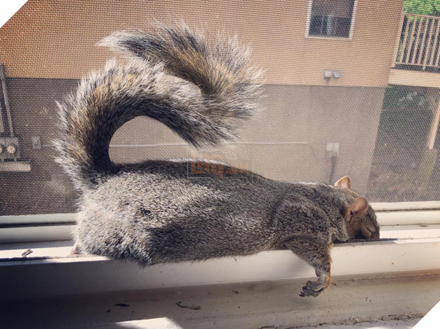 
Thumbelina có thể ngủ được mọi lúc mọi nơi luôn đấy, miễn là no bụng thì nàng ta đều có thể đánh một giấc đẫy mắt.