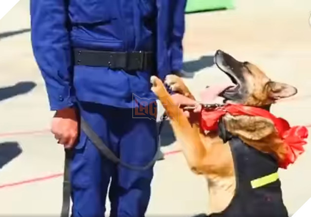 
Một chú chó không muốn chia xa người huấn luyện của mình. (Ảnh cắt từ clip)