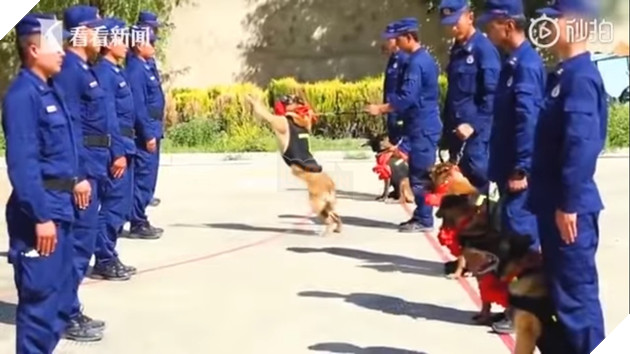  
Hình ảnh này đã khiến nhiều người rơi lệ. (Ảnh cắt từ clip)