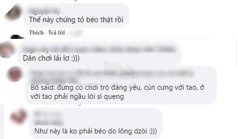  
Bình luận của cư dân mạng. (Ảnh chụp màn hình)