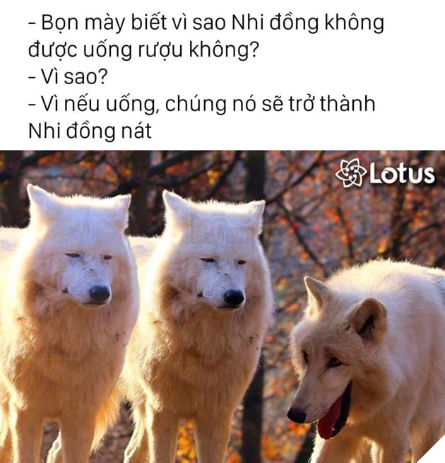 Laughing Wolves