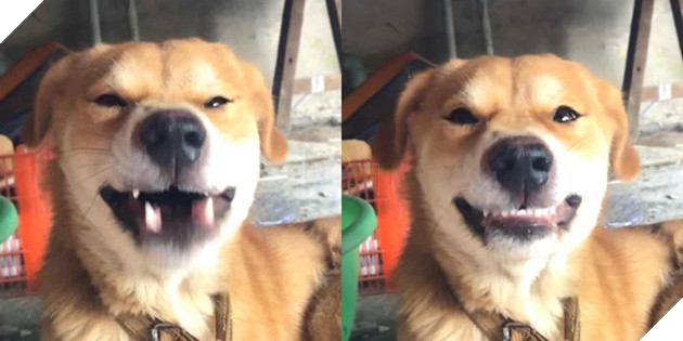  
Sau khi hoàn thành quá trình đầy sảng khoái thì chốt lại bằng nụ cười thật tươi thôi. Ảnh: Cậu Vàng