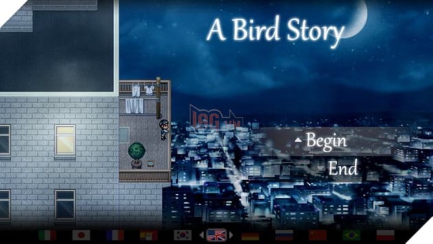 Cốt truyện A Bird Story - Tình bạn lạ kì giữa cậu bé vô danh và chú chim bị thương
