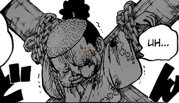 Cộng đồng One Piece đưa ra hàng loạt dự đoán khi biết biên tập của manga bật khóc lúc đọc chap 987 2