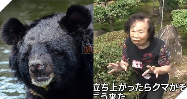 Bà cụ 82 tuổi đi đường quyền , đánh bại chú gấu hơn 150kg 2